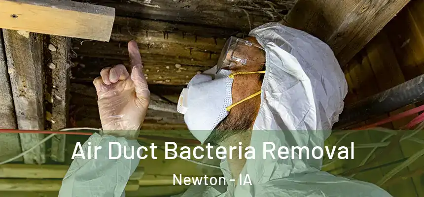  Air Duct Bacteria Removal Newton - IA