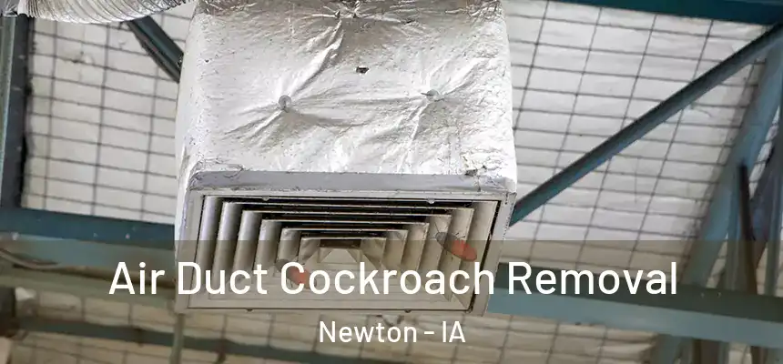  Air Duct Cockroach Removal Newton - IA