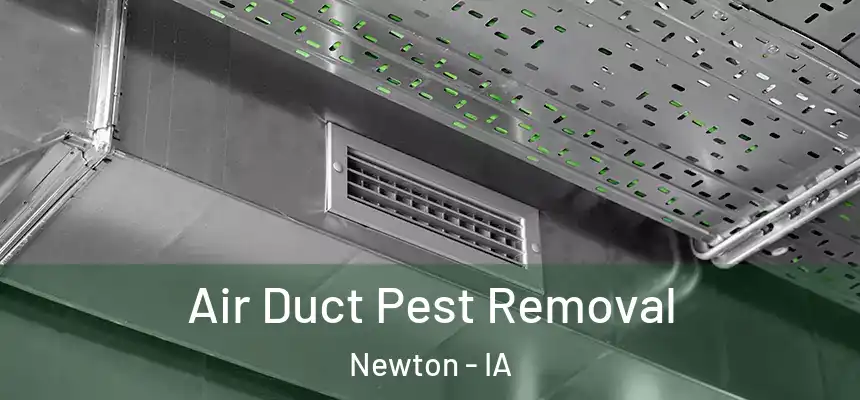  Air Duct Pest Removal Newton - IA