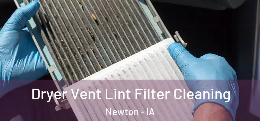  Dryer Vent Lint Filter Cleaning Newton - IA