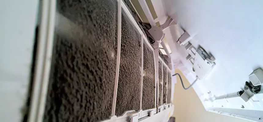 Preventive Air Duct Bacteria Removal in Newton