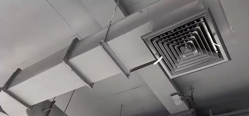 Restorative Allergy Relief Vent Cleaning – Coil, Blower & Housing Detail in Newton