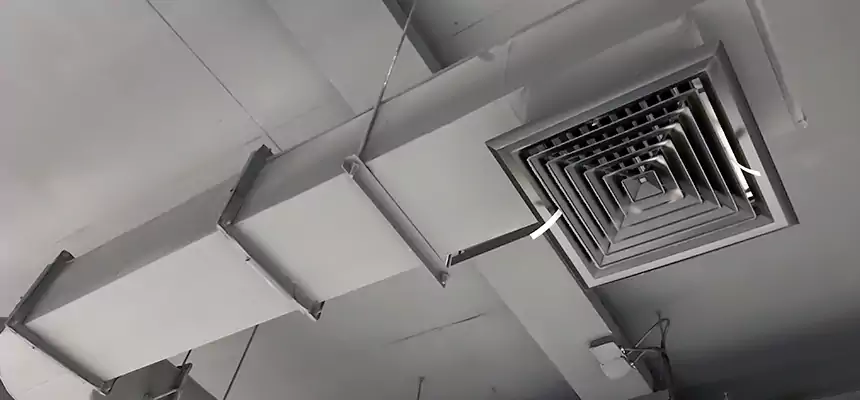 Our Pest Removal From Ducts Services in Newton, IA