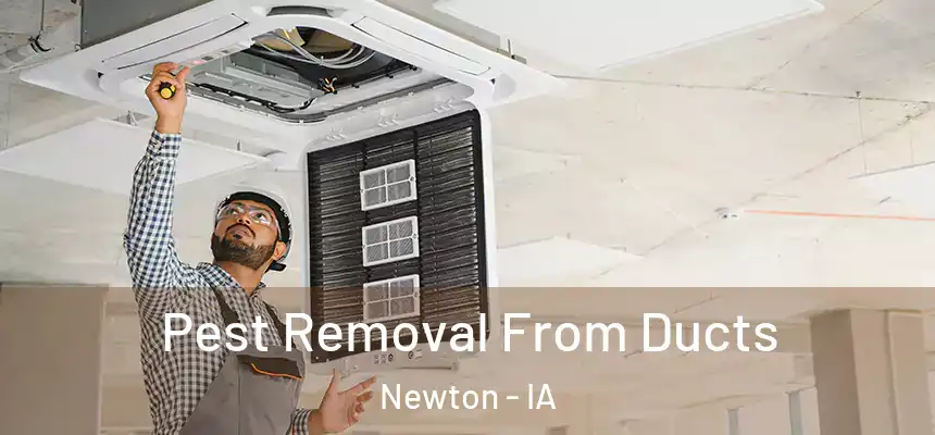  Pest Removal From Ducts Newton - IA