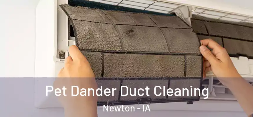  Pet Dander Duct Cleaning Newton - IA