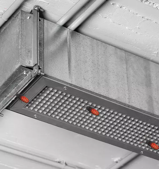 About Air Duct Cockroach Removal in Newton, IA