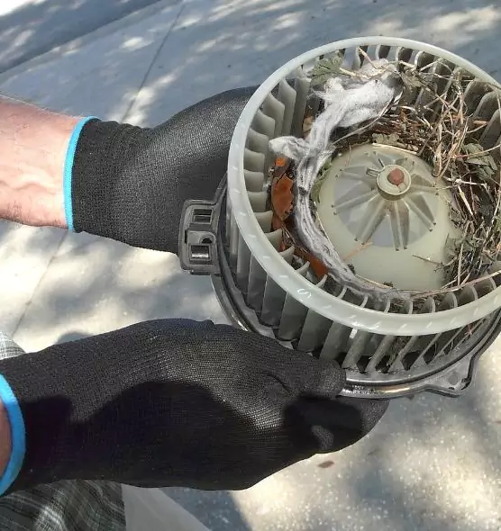 About Air Duct Rat Removal in Newton, IA