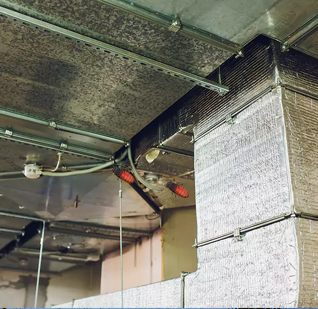 Why Homeowners & Businesses Trust Us in Newton, IA?