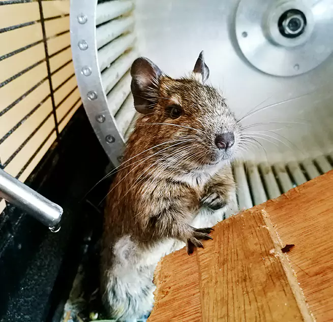 Why Homeowners & Businesses Trust Us Newton, IA?