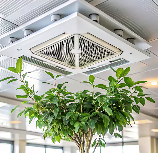 Why Homeowners & Businesses Trust Us in Newton, IA