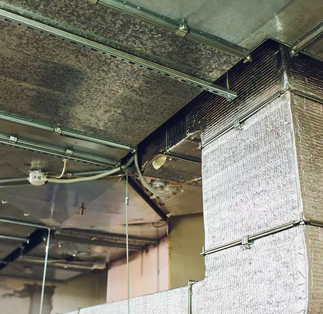 Why Homeowners & Businesses Trust Us in Newton, IA?